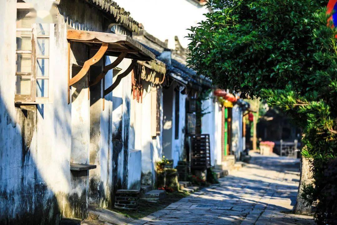熊仔之熊猫大侠修行路